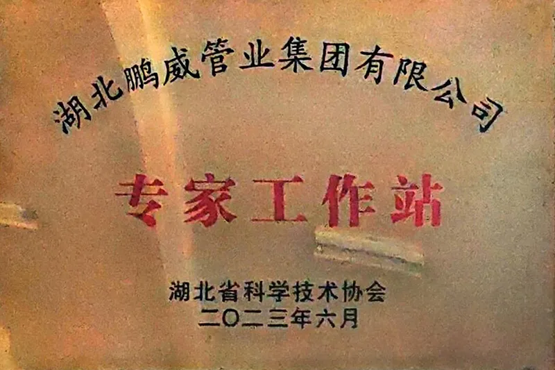 Сертификат (20)